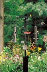 APS w/Tube Feeders, Hummer Feeder, and Suet Feeder