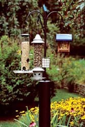 APS w/Eliminator, Large Tube w/tray, and Classic Too